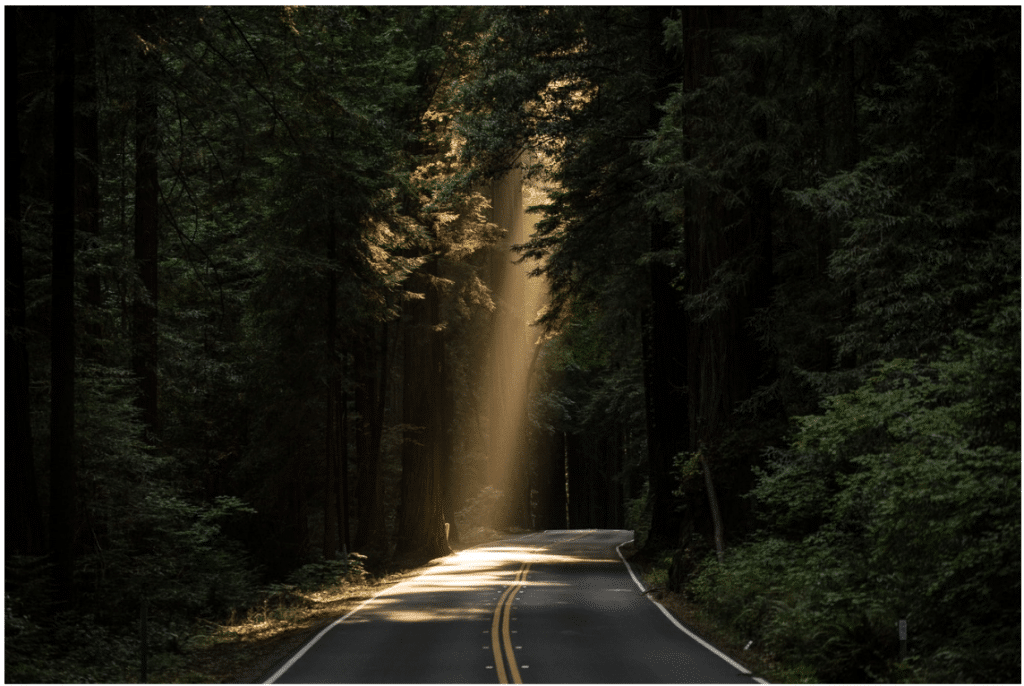 light on path road. 