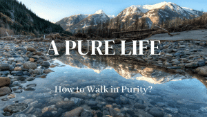 stream of water with text "how to walk in purity"