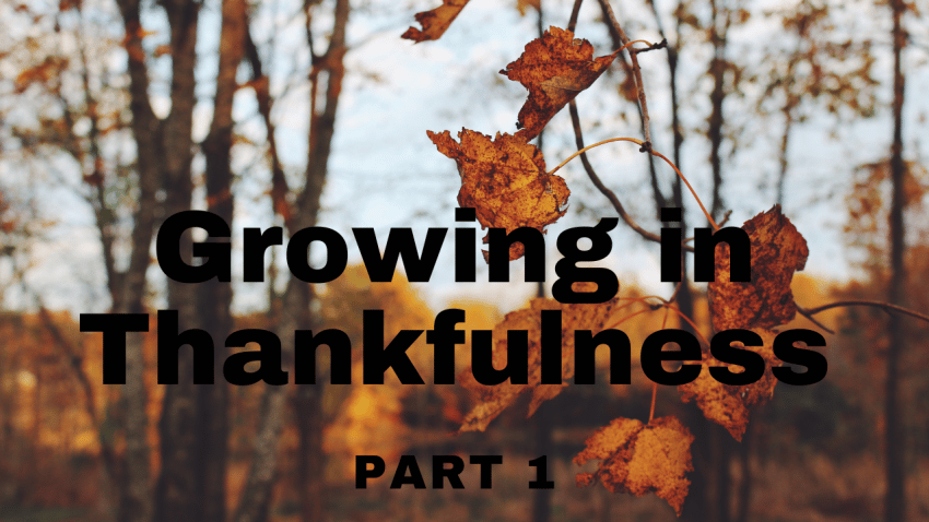 growing in thankfulness with fall background
